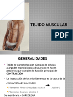 Tejido Muscular