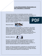 Las Personas Con Necesidades Especiales en El Perú: Desafíos y Avances