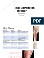 (MS 2022) 8. Myologi Extremitas Inferior