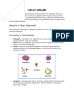 10.plant Diseases