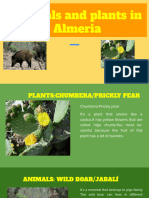 Animals and Plants in Almeria