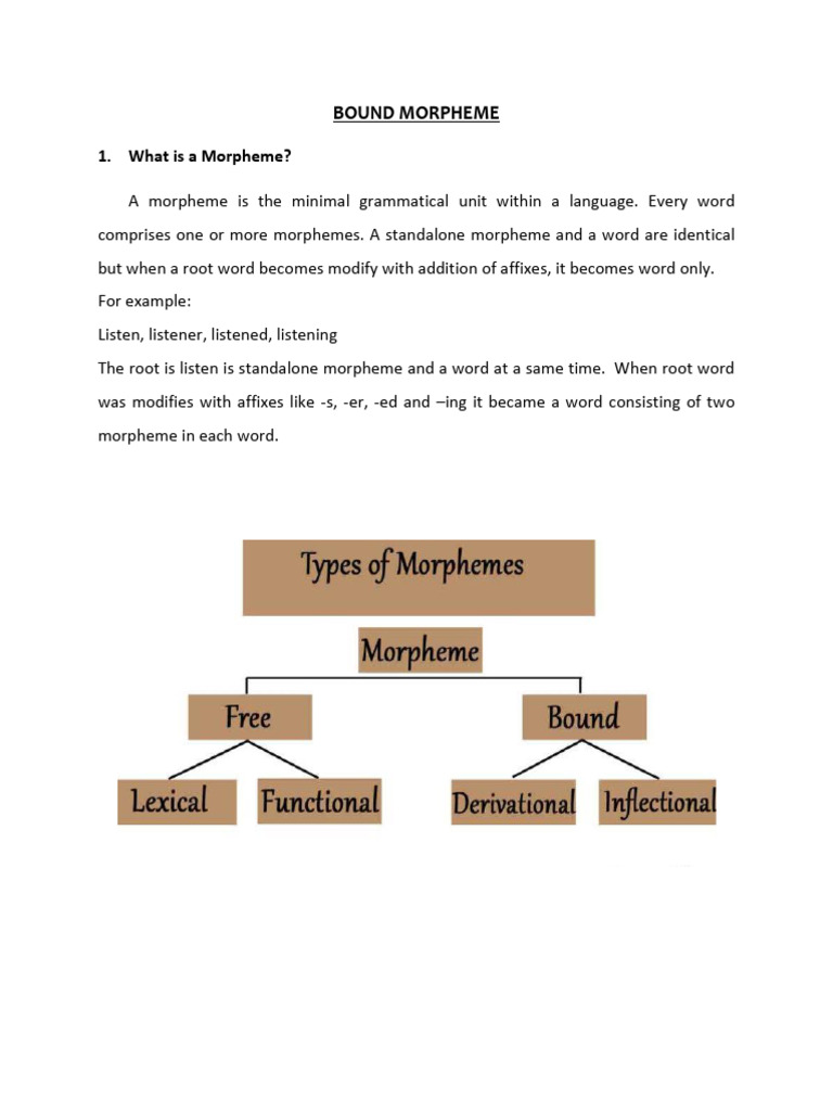 Bound Morpheme Pdf Word Linguistics