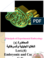 4-Cancer and Embryonic Cells