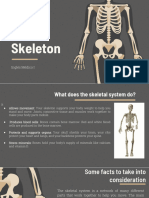 The Human Skeleton - 2023