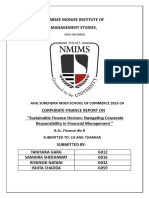 Sustainable Finance - Presentation