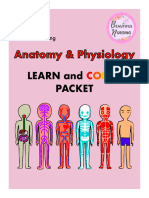 Learn and Color Packet