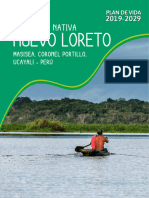 PV Nuevo Loreto Web