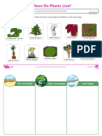 Activity Sheet Where Do Plants Live