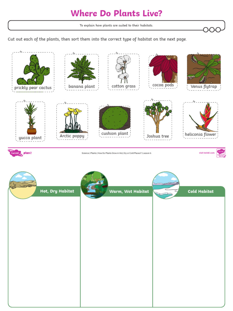 Activity Sheet Where Do Plants Live PDF Plants Habitat