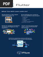 Flux Flutter Diploma Content v1