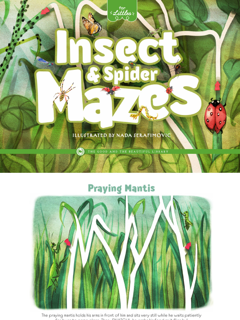 Insect-Mazes_website-sample | PDF