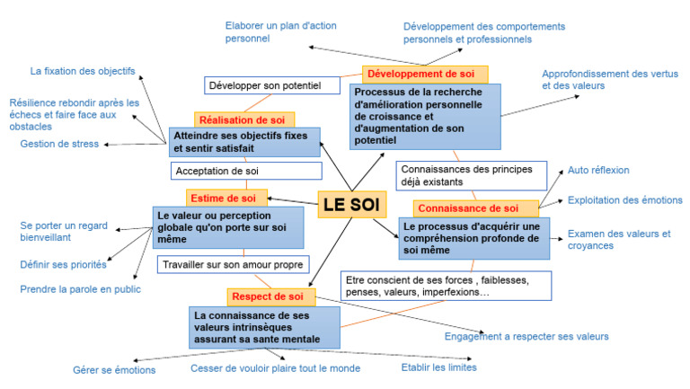 Carte mentale de la connaissance de soi | PDF | Estime de soi | Cognition