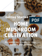 Getting Started With Home Mushroom Cultivation Milkwood
