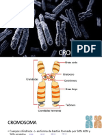 CROMOSOMAS