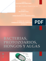 Bacterias Esmeralda Mic