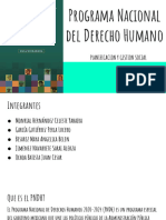 Programa Nacional Del Derecho Humano