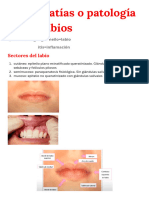 Queilopatías o Patología de Los Labios