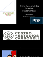 Teoría General de Los Derechos Fundamentales - YEA