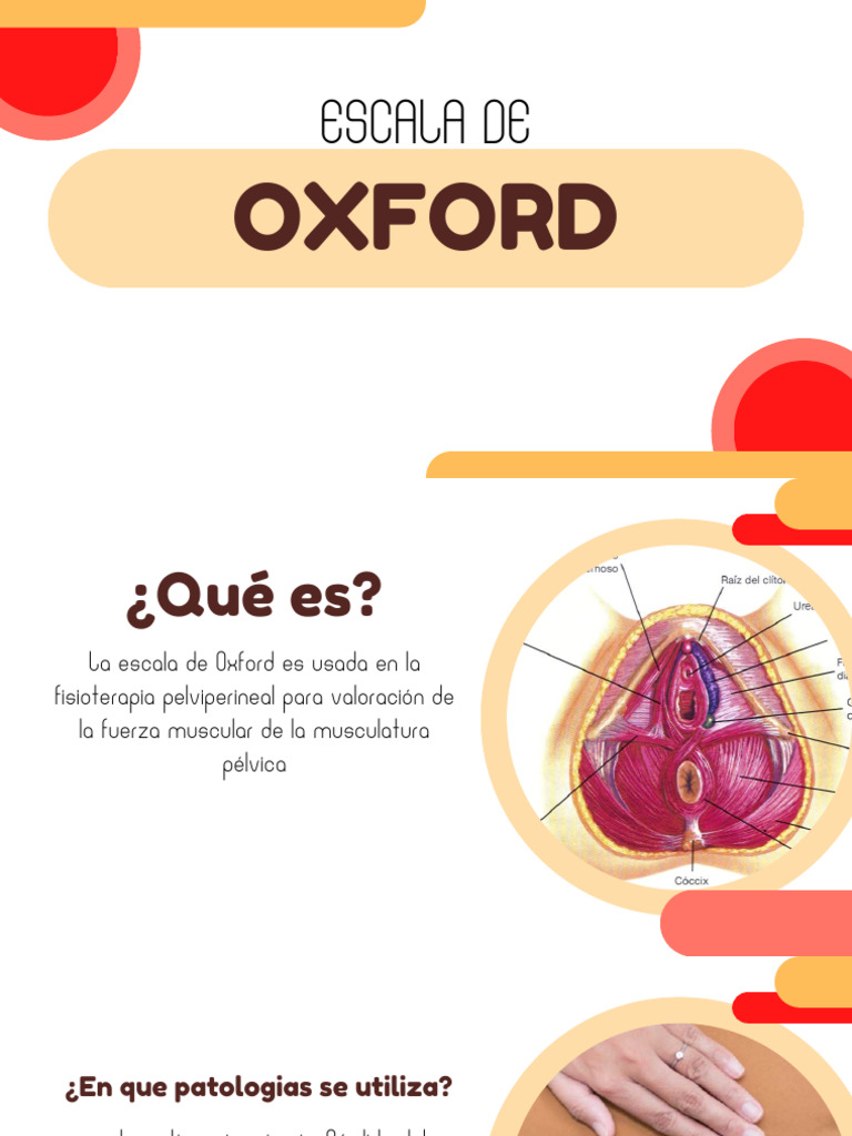 escala-de-oxford-pdf