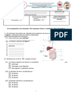 Teste Digestão Adaptado