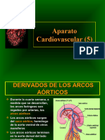 5 Aparato Cardiovascular