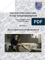 Pathomorphology Isem Ua - PDF Jsessionid