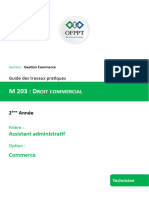 TAA Commerce M203 Guide TP