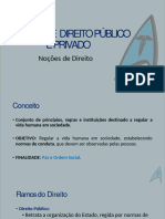 NDPP - Mega Resumo