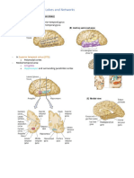 Chapter 15 The Temporal Lobes and Networks