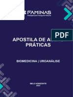 Apostila de Aulas Práticas