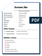 Curriculum Vitae 0801