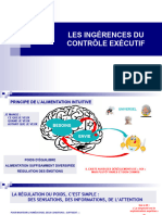 1832202140-PPT 5 - Ingérence Du Contrôle Exécuti