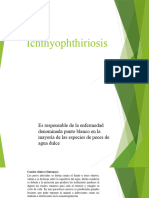 Ichthyophthiriosis Exponer