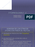 fitopatologia 2.2