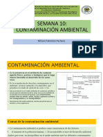 10.contaminación Ambiental PDF