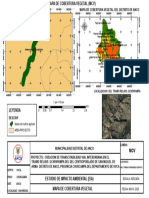 Mapa de Cobertura Vegetal