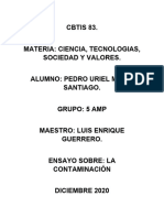 Ensayo Ciencias