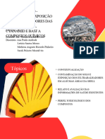 Estudo de Caso 5 - Caso Shell