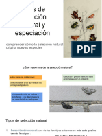 Tipos de Selección Natural y Especiación