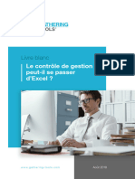 Livre Blanc Le Controle de Gestion Peut Il Se Passer DExcel