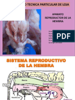 aparato-reproductor-de-las-hembras