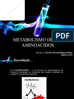 Metabolismo A
