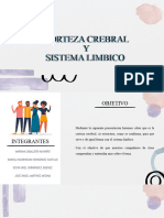 Corteza Cerebral y Sistema Límbico