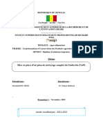 Rapport de Stage Mamadou Sène