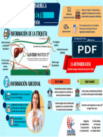 Infografia Liverprotect of