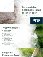 Permasalahan Kesuburan Tanah Di Tanah Salin: Dosen Pengampu: Ir. Slamet Supriadi, M. Si