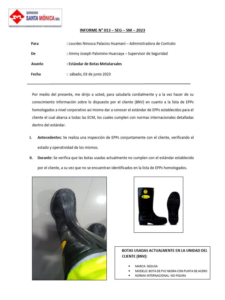 Cambio Necesario de Botas EPP | PDF | Negocios | Finanzas y dinero