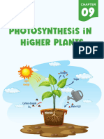 Photosynthesis in Higher Plants