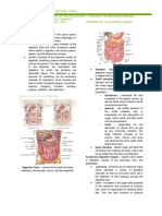 Abdomen, Neuro, Musculoskeletal, Male and Female Genitalia, and Rectum