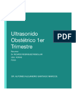 Formato de Tarea - Resumen Ultrasonido Obstétrico 1er Trimestre